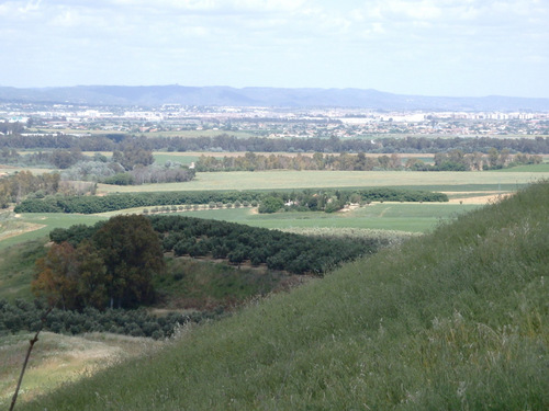 Our last hill before the descent to Córdoba.